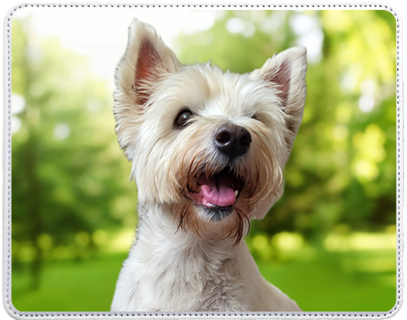 Custom Printed Mouse Mat - Add Your Photo | Faux Leather