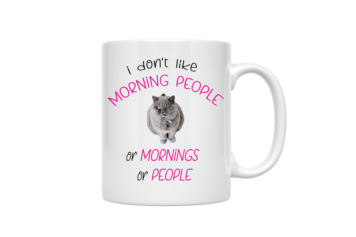 Not a Morning Person Grumpy Cat Sarcastic Funny Novelty ceramic 10oz coffee mug